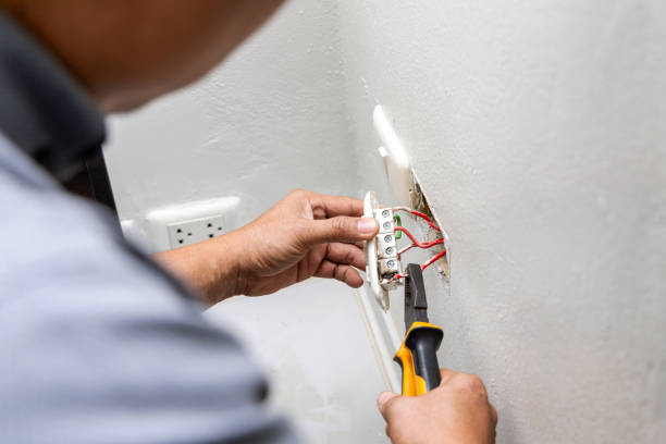Best Electric Panel Repair  in Kirkl, IN